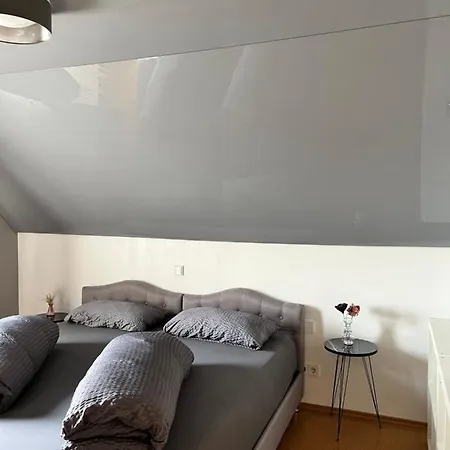 Lifestyle Apartment Sinsheim Exterior photo