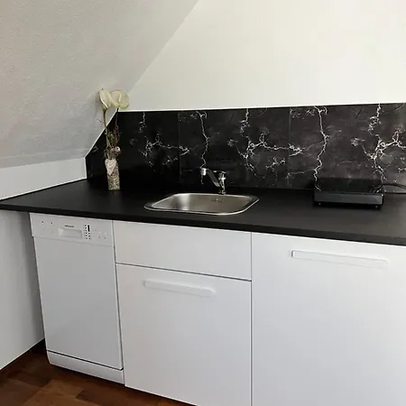Lifestyle Apartment Sinsheim Exterior photo